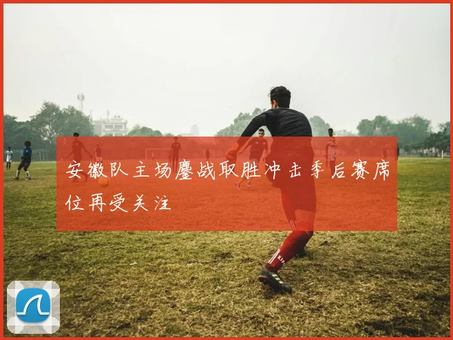 安徽队主场鏖战取胜冲击季后赛席位再受关注