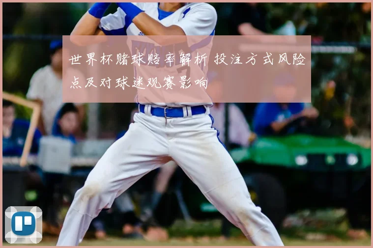 世界杯赌球赔率解析 投注方式风险点及对球迷观赛影响