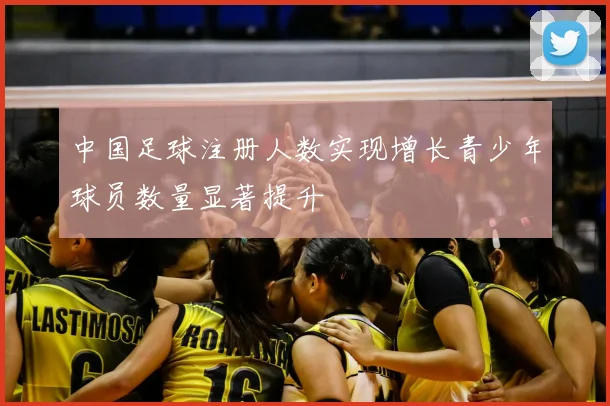 中国足球注册人数实现增长青少年球员数量显著提升