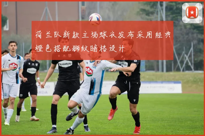 荷兰队新款主场球衣发布采用经典橙色搭配狮纹暗格设计