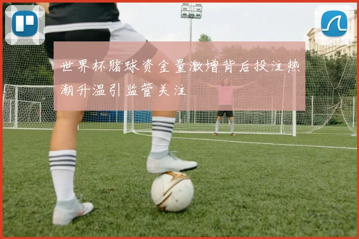 世界杯赌球资金量激增背后投注热潮升温引监管关注