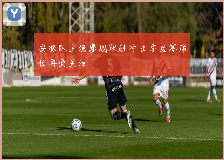 安徽队主场鏖战取胜冲击季后赛席位再受关注